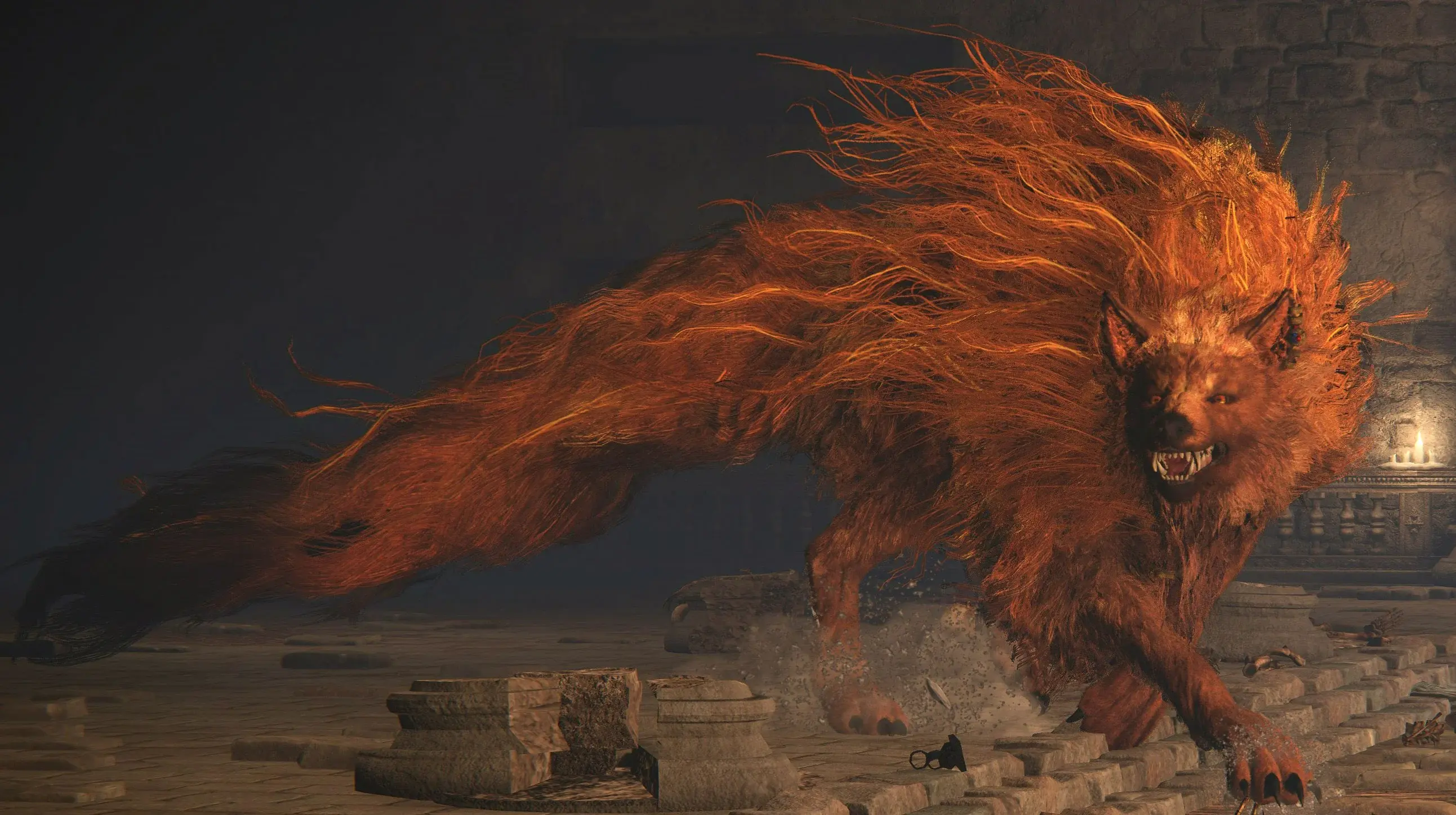 Red Wolf Of Radagon