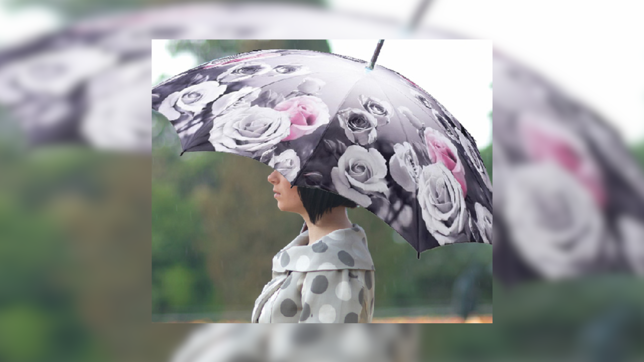 Regenschirm