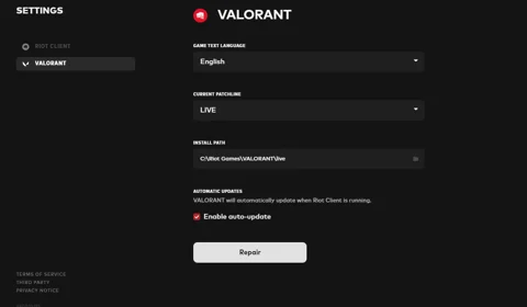 Repair Valorant1