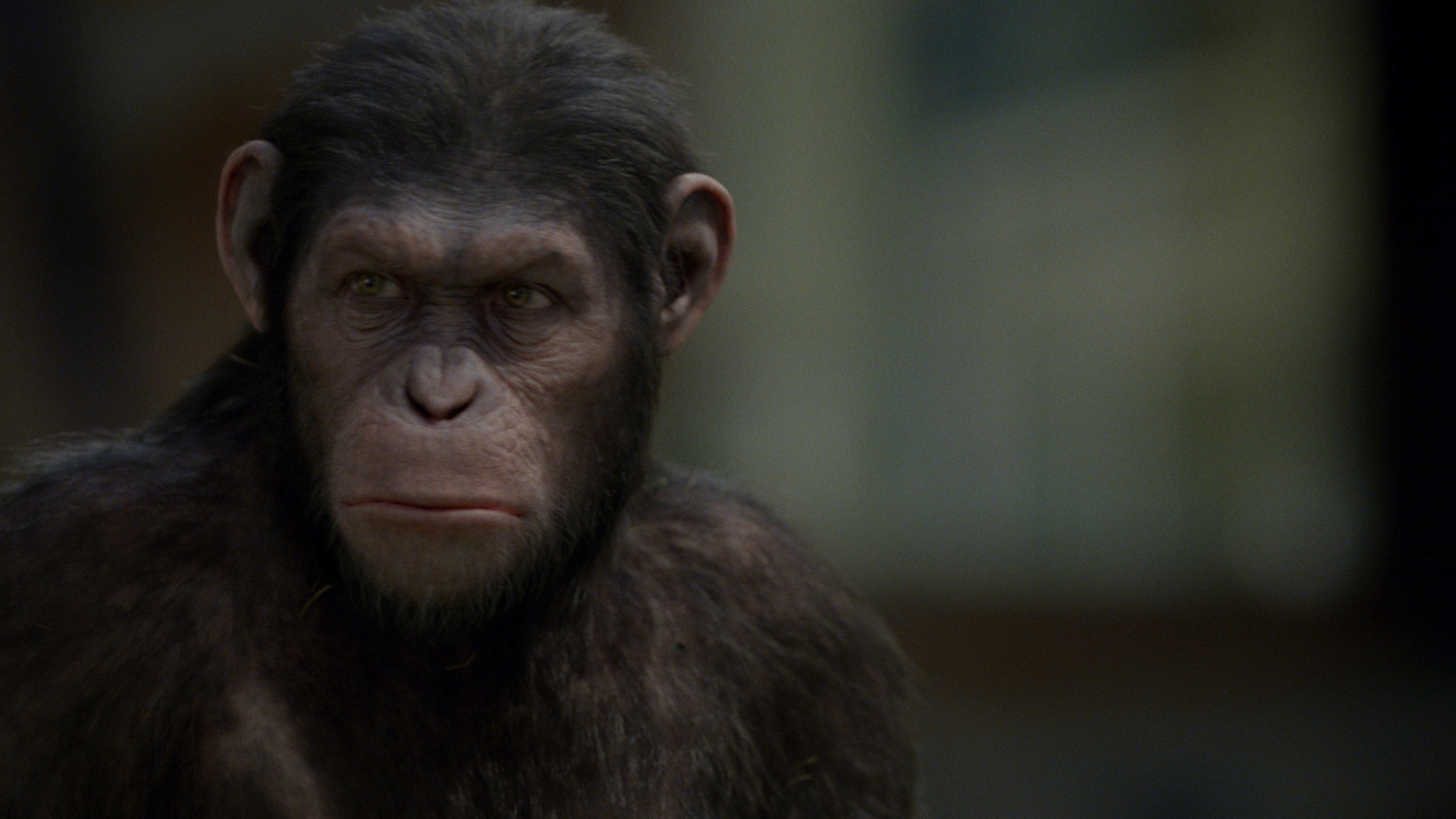 Rise of the Planet of the Apes 2011 caesar cropped processed by imagy