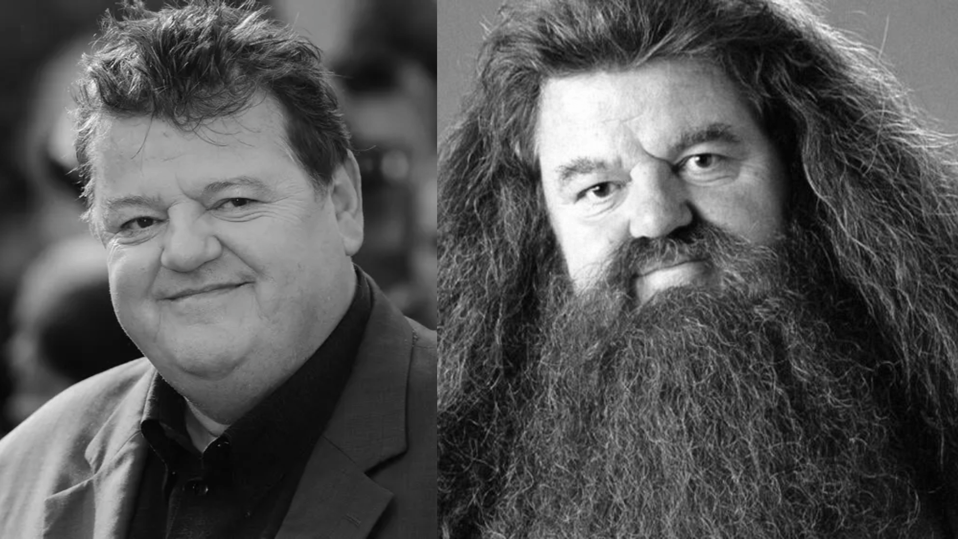Robbie Coltrane Hagrid