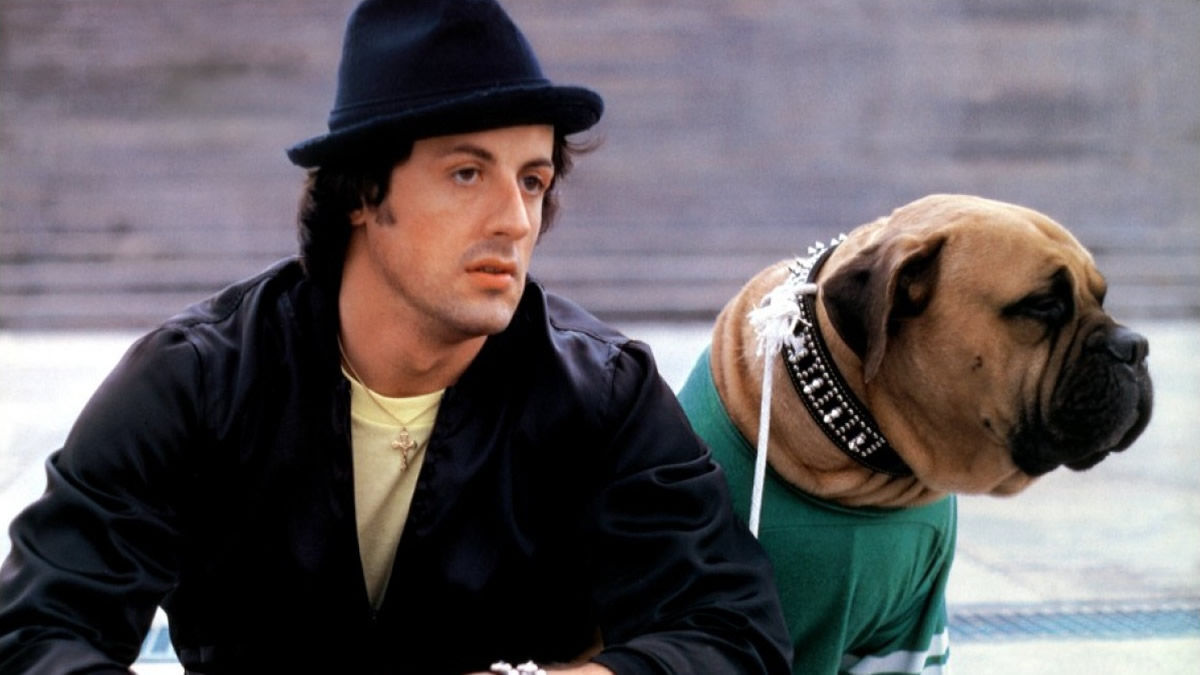 Rocky II