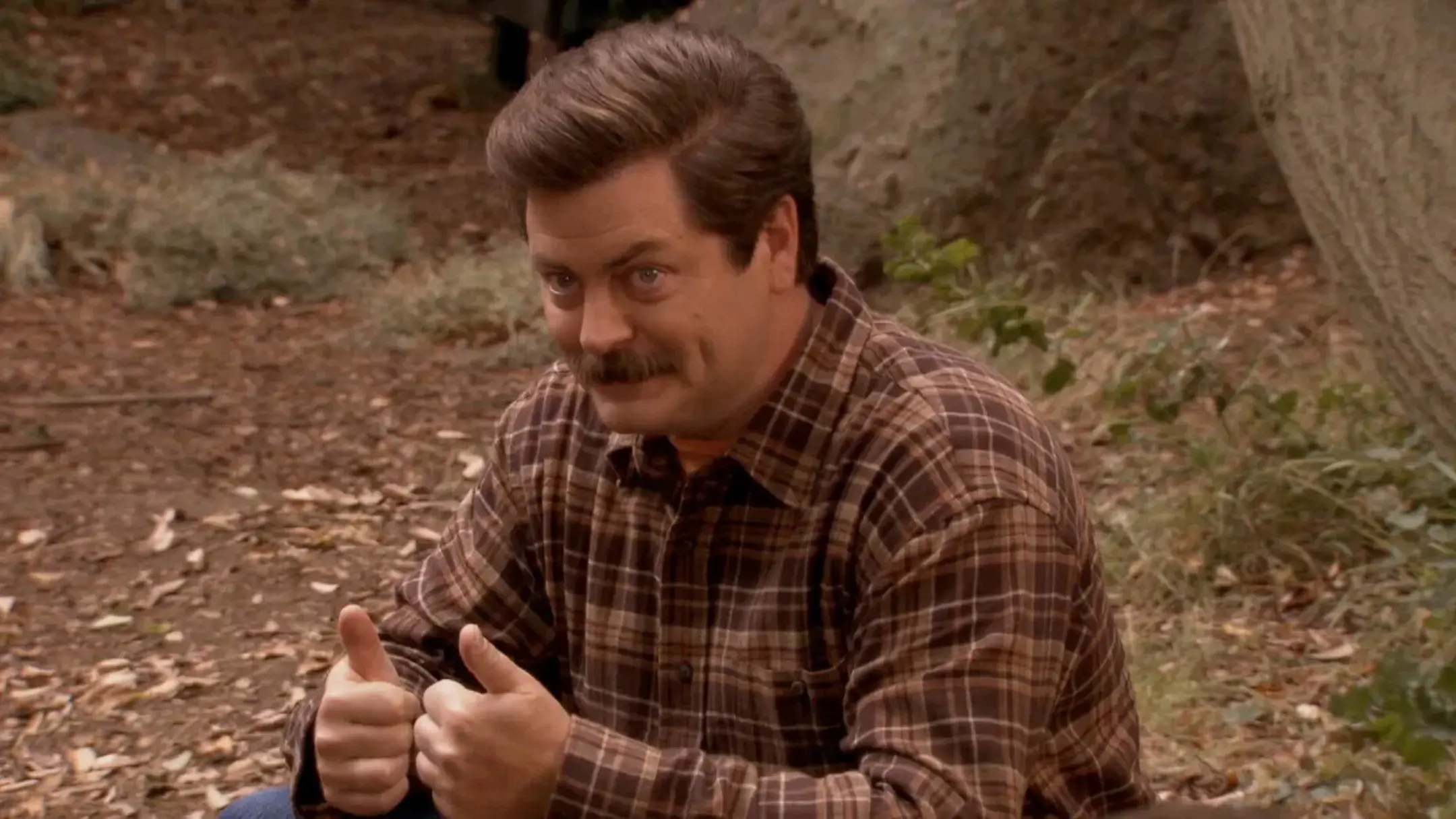 Ron Swanson from Parks and Recreation