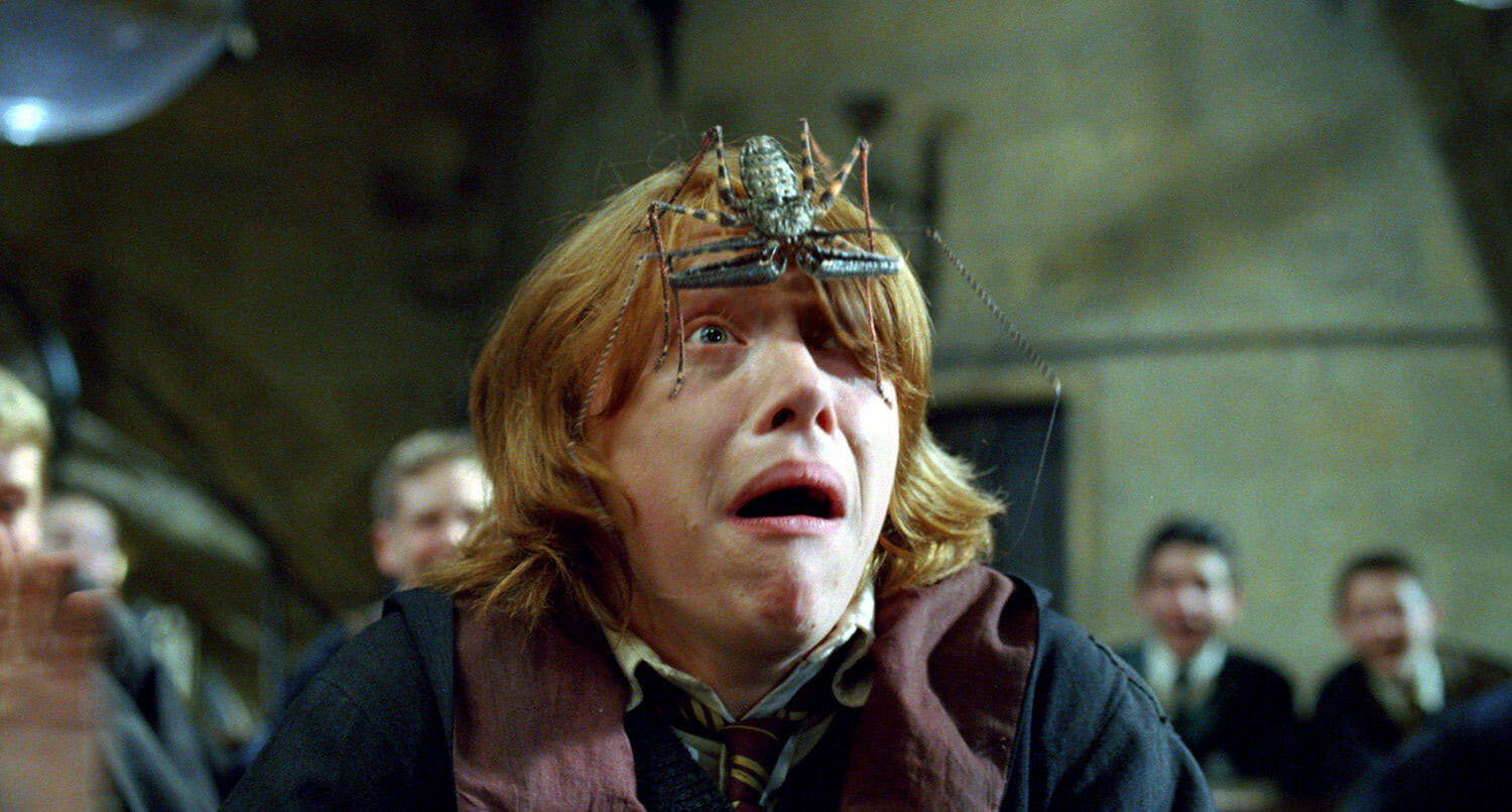 Ron Weasley