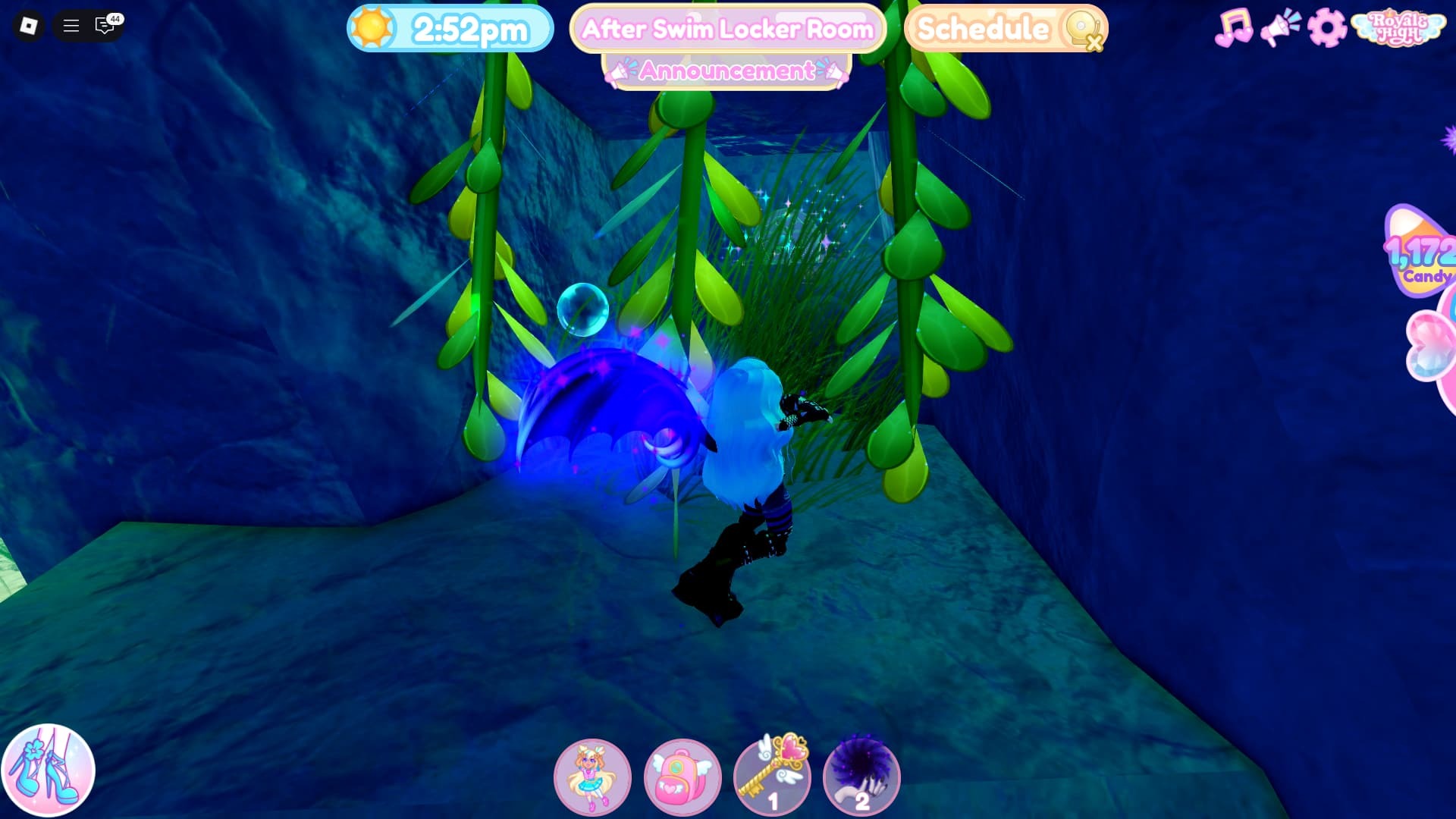 Royale High Mermaid Campus Treasure Chest 1 location 2