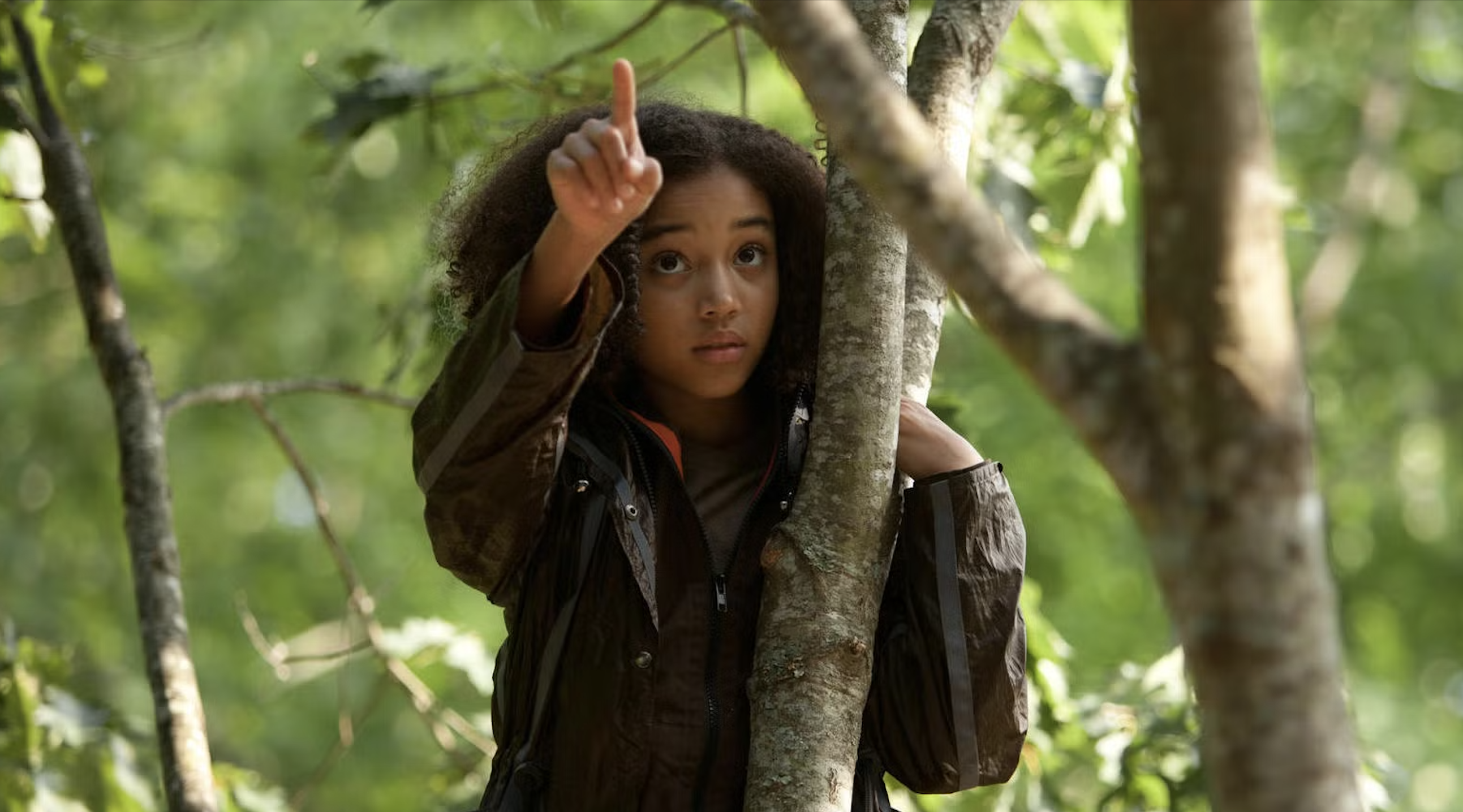 Rue The Hunger Games