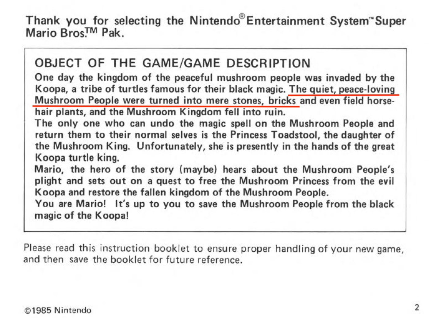 SMB Manual Page 2