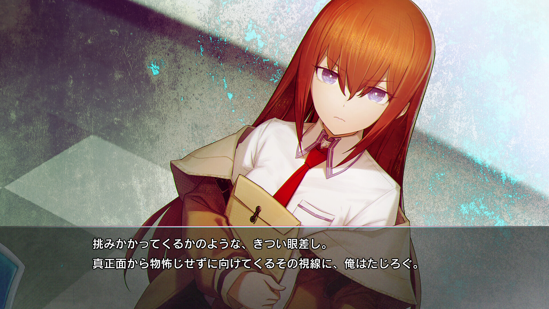 STEINSGATE RE