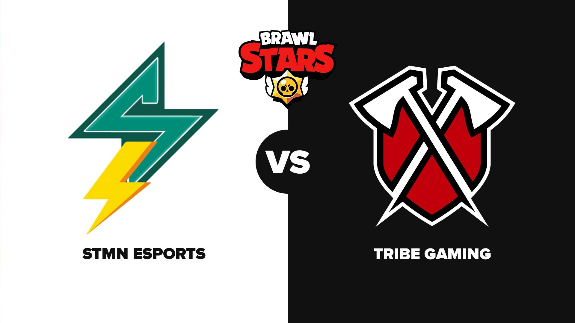 STMN Tribe New