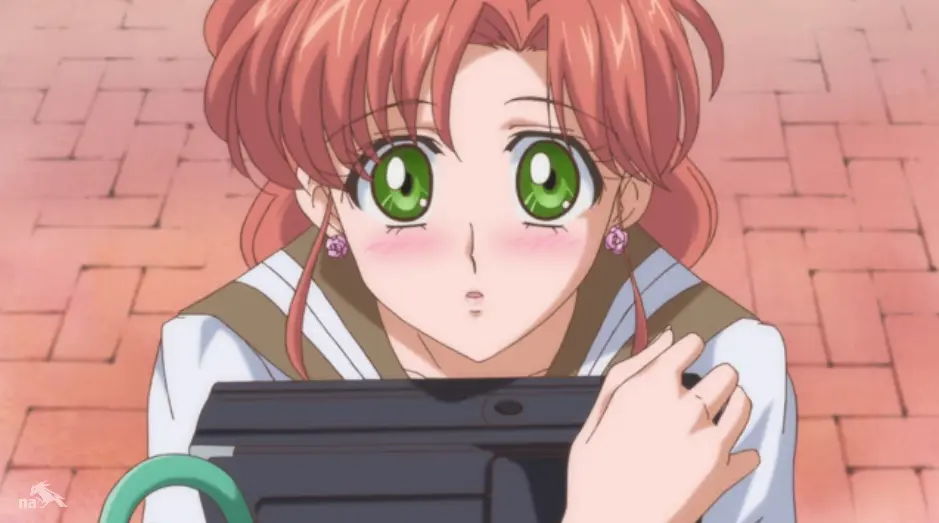 Sailor Jupiter from Sailor Moon