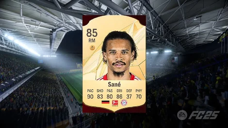 Sane FC 25