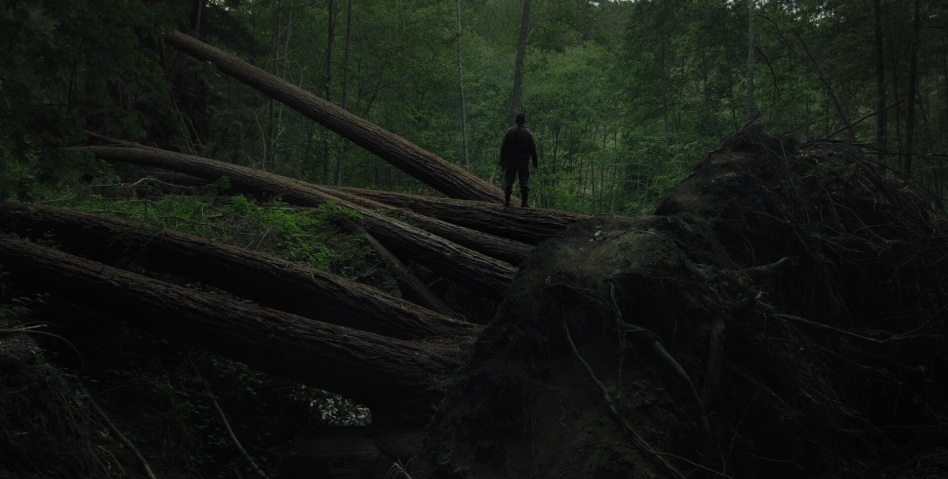 Sator 2019