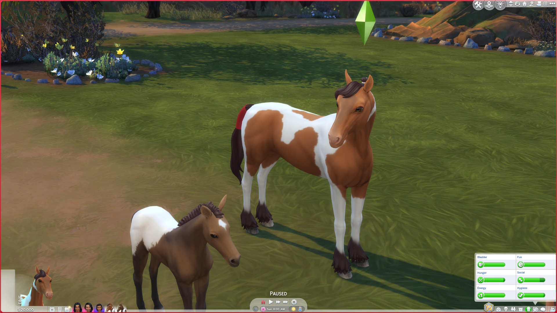 Selectable Pets Always