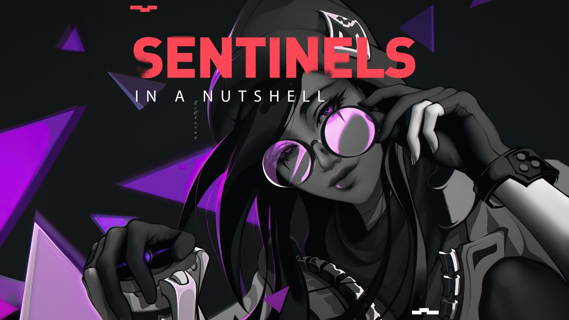 Sentinels in a nutshell 00000