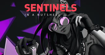 Sentinels in a nutshell 00000