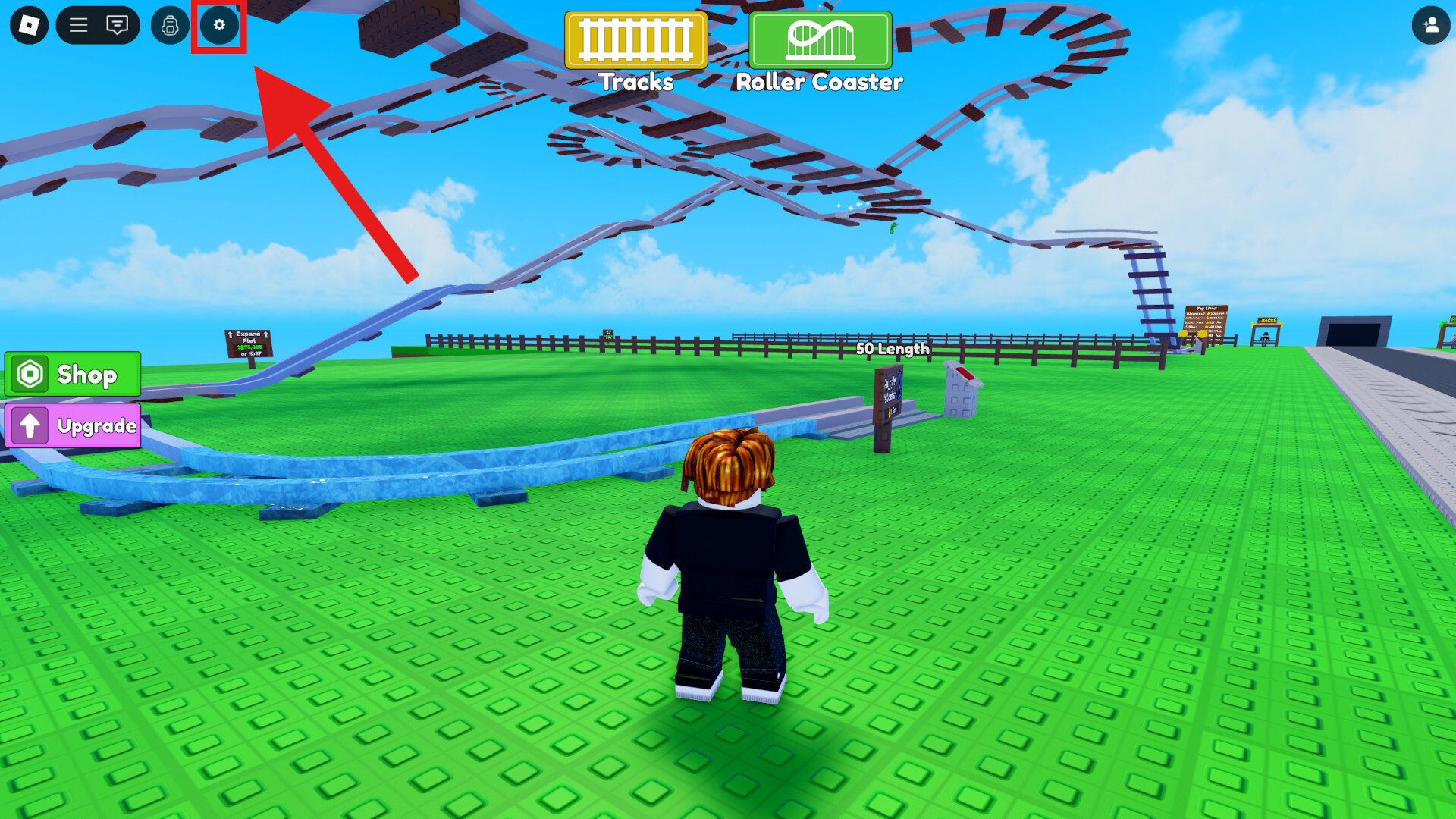 Settings Build a Roller Coaster