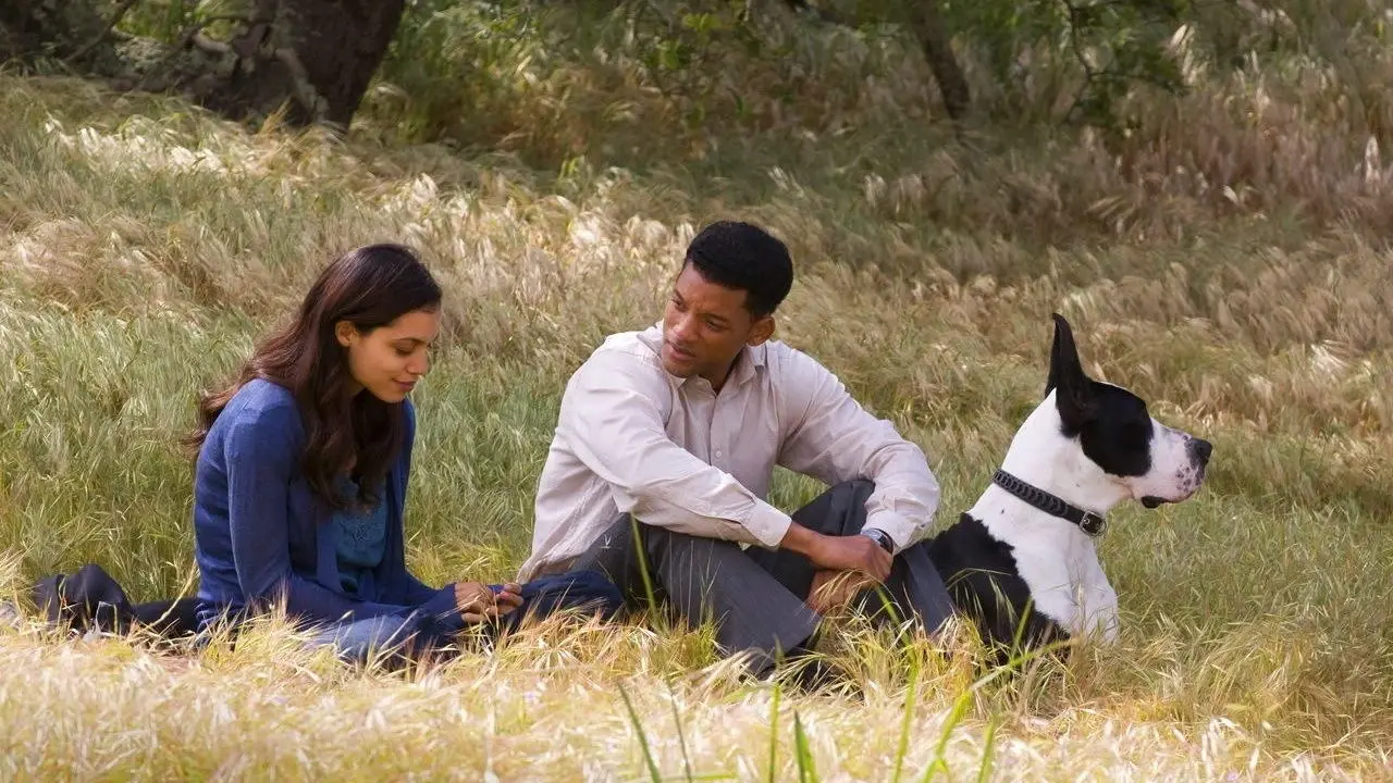 Seven Pounds 2008