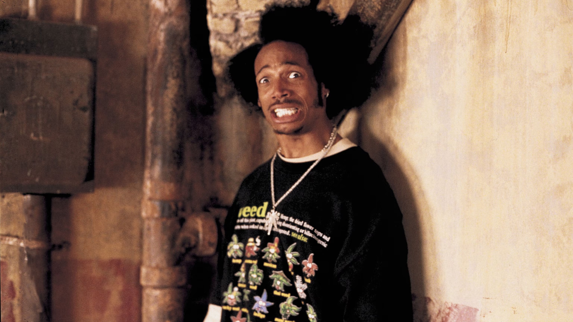 Shawn and Marlon Wayans Scary Movie