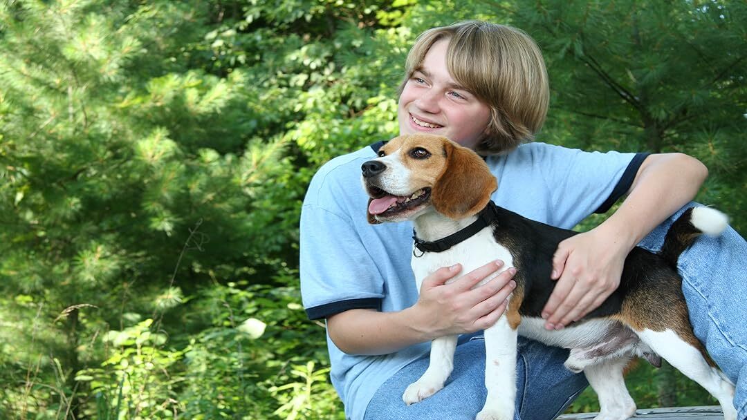 Shiloh from Saving Shiloh