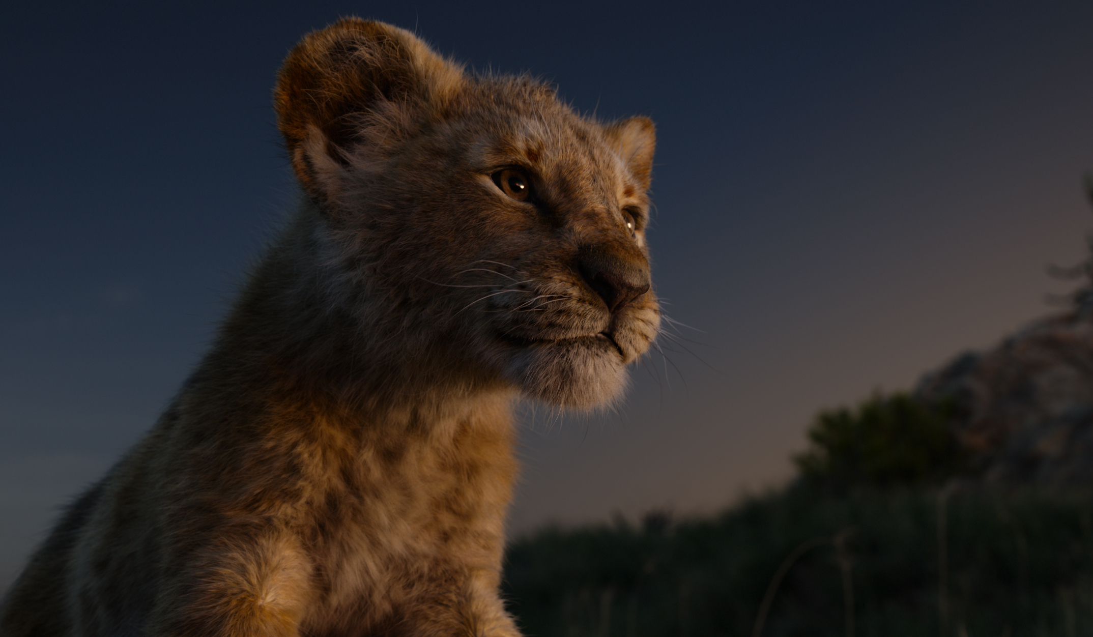 Simba