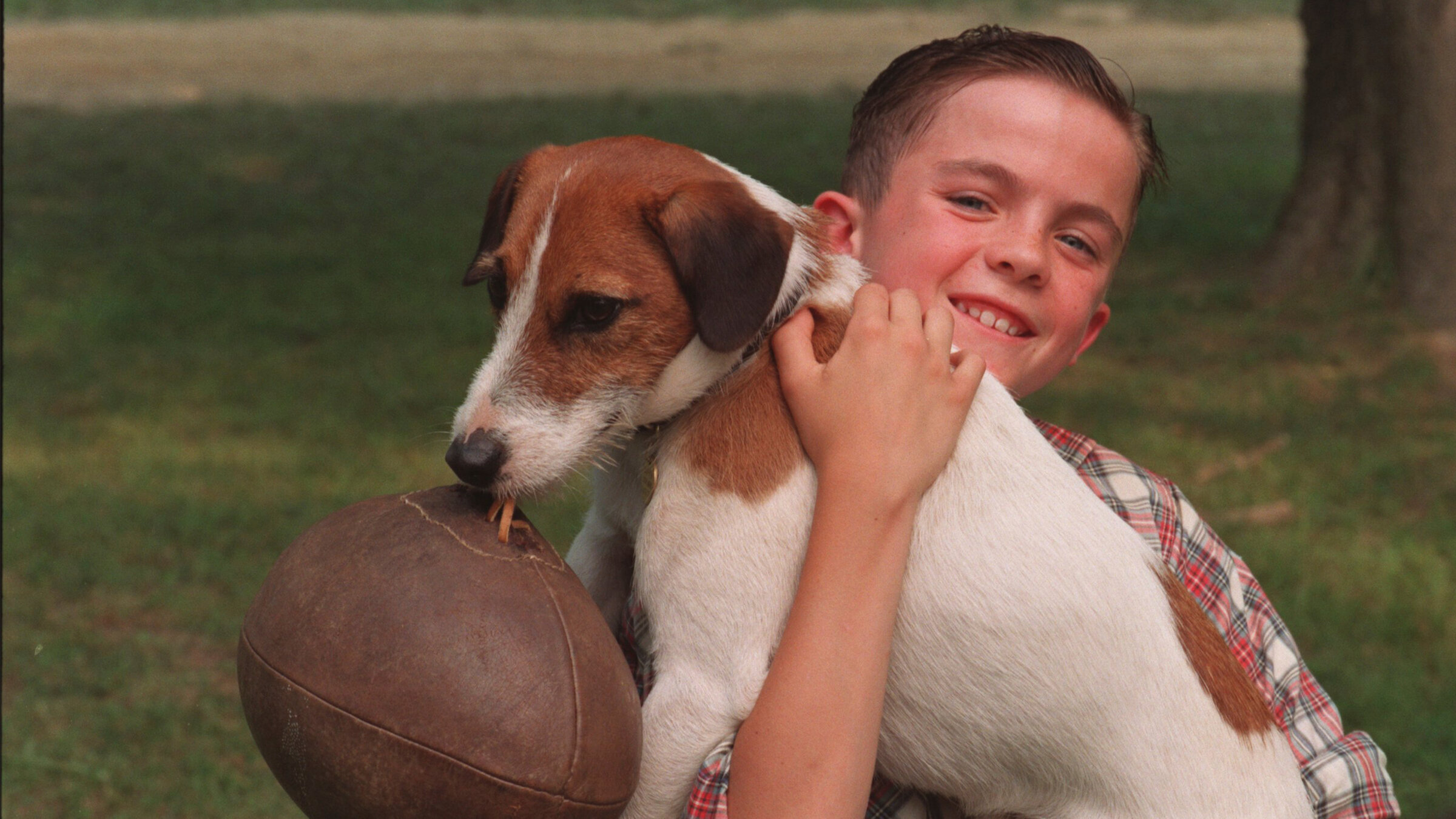 Skip from My Dog Skip