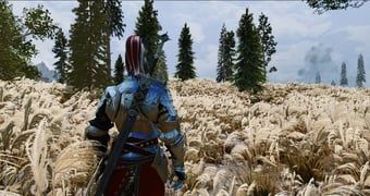 Skyrim Mod