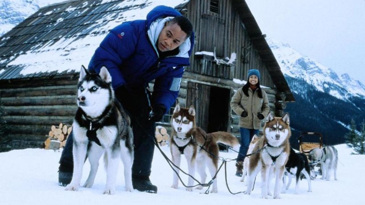 Snow Dogs