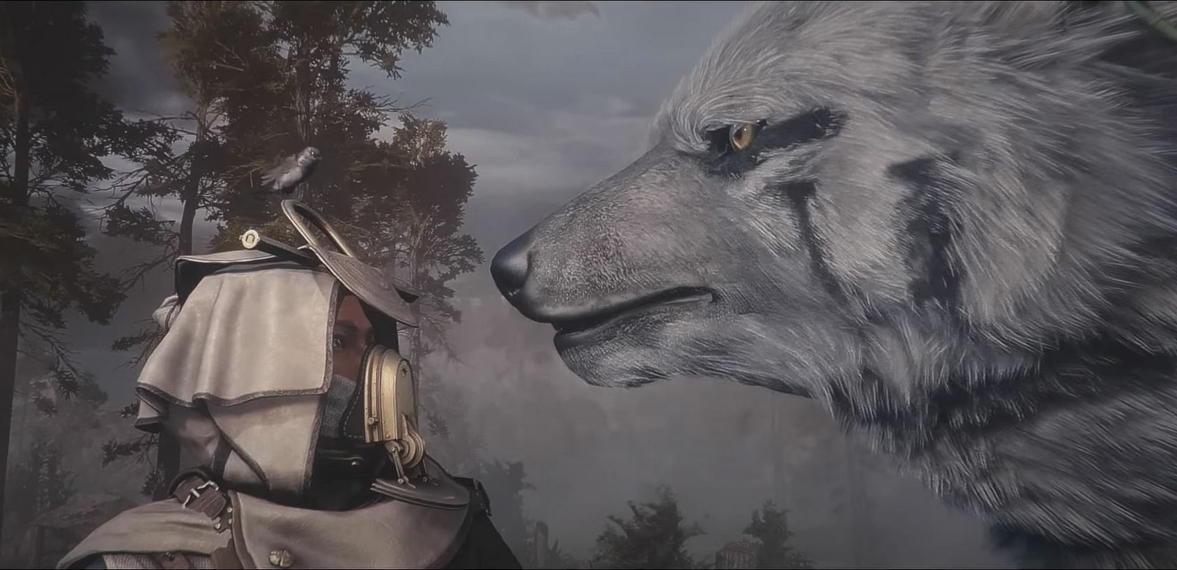 Soulframe Story