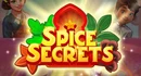 Spice Secrets game
