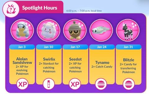 Spotlight Hours January