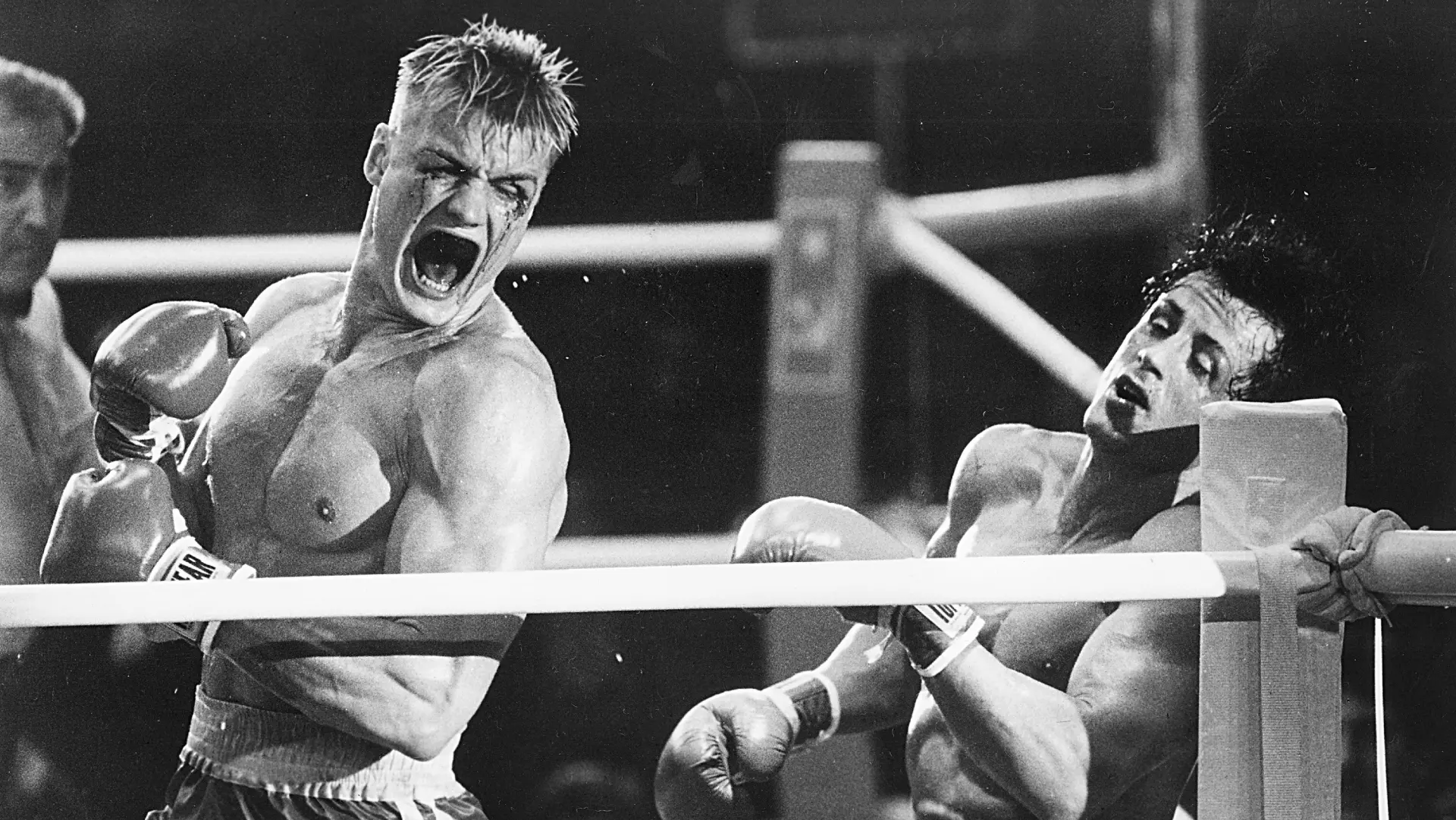 Stallone asked Lundgren