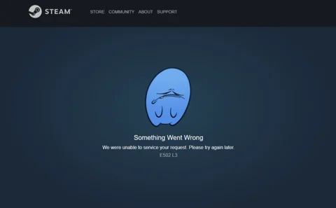 Something Went Wrong E502 L3, Steam Store Down Explained : r