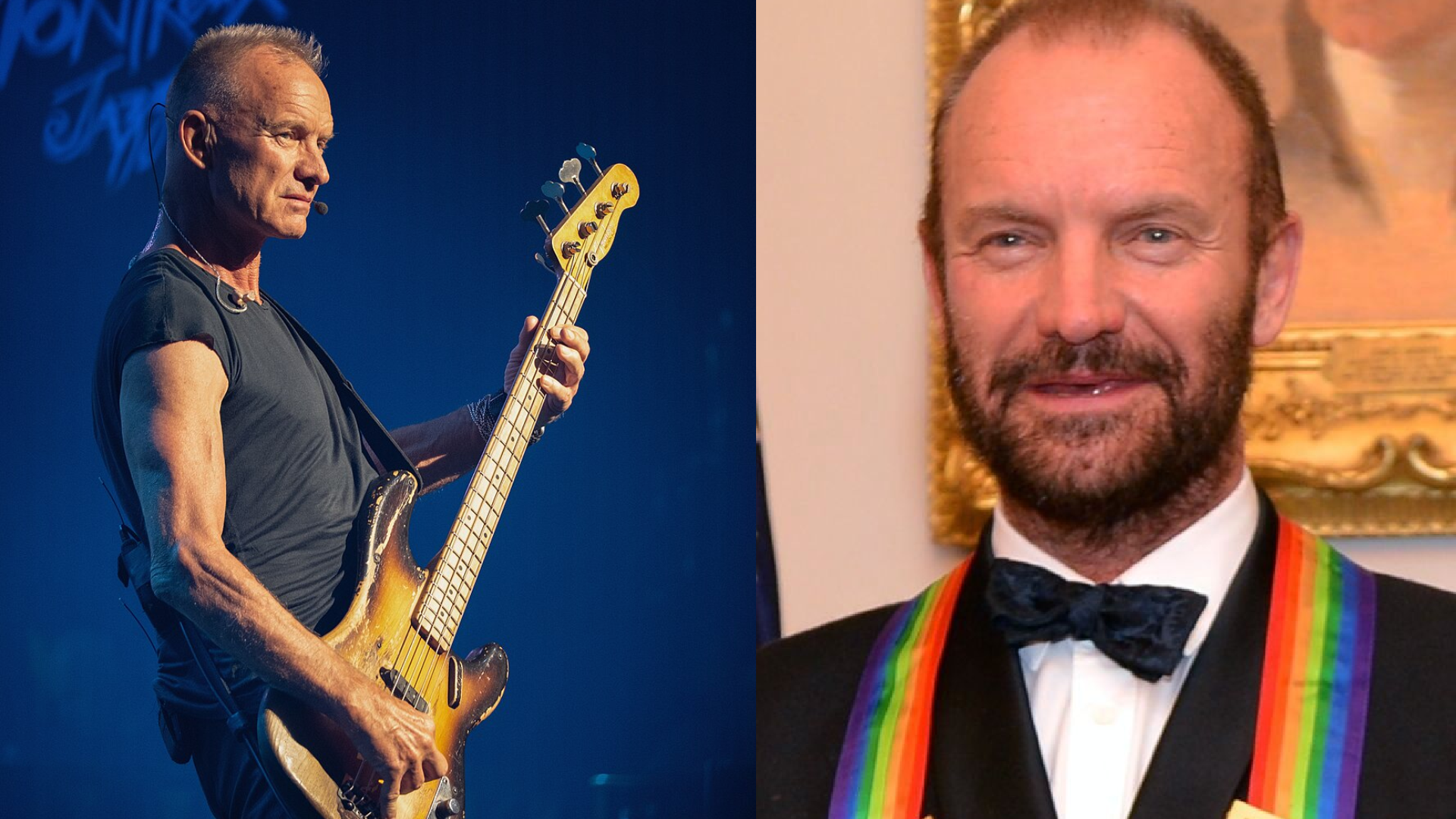 Sting 01 Wikipedia
