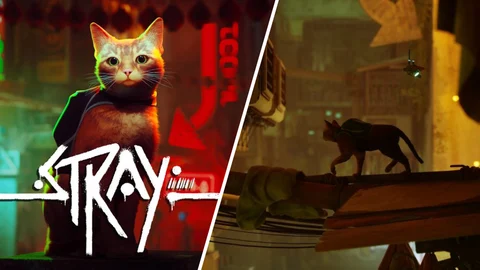 Will cyberpunk cat game Stray come to Nintendo Switch? Exploring  announced systems and previous trends