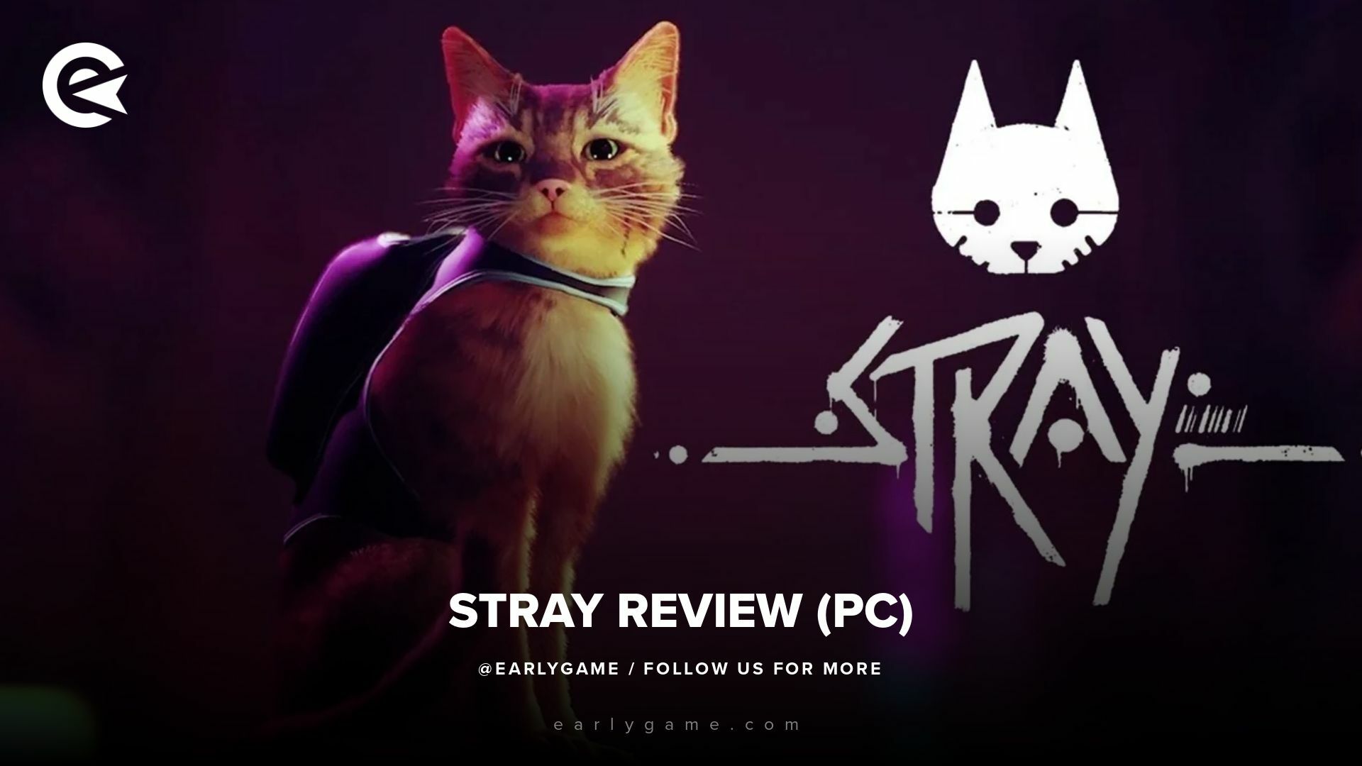 Stray store game ps5