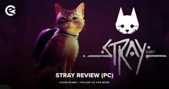 Stray Review H