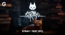 Stray Test PC