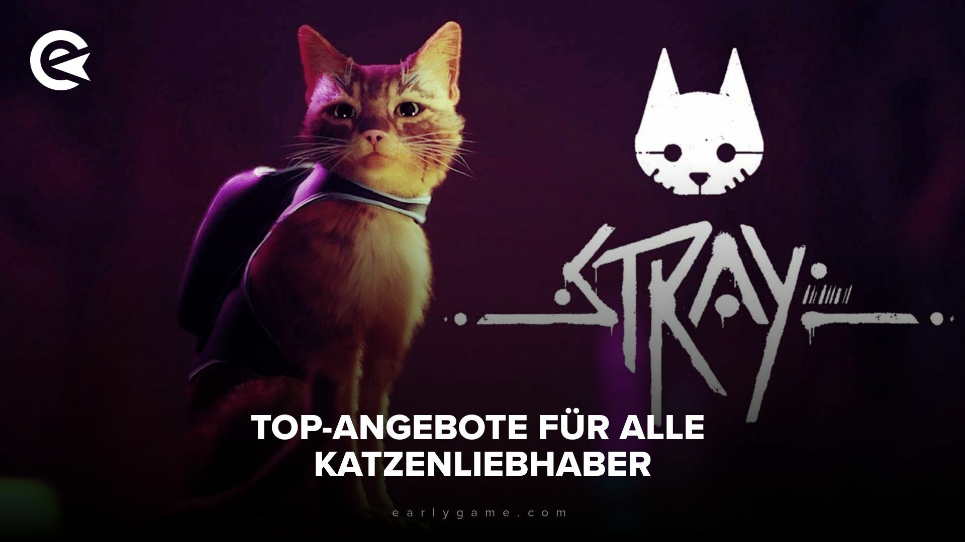 Stray günstig kaufen: Hier erfährst du, wo du das Katzengame zu einem guten Preis bekommst