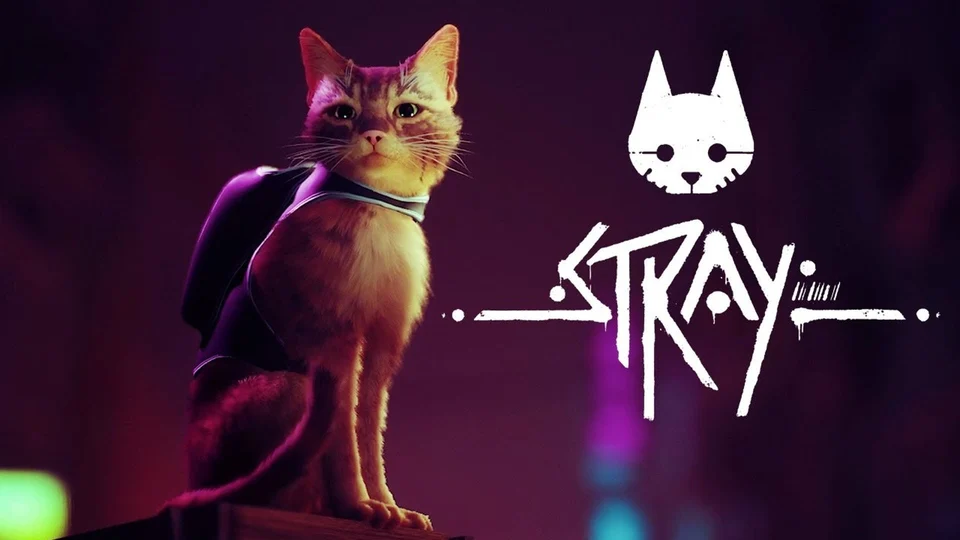 Stray Review: You Need The Cyberpunk Cat Game On PS4, PS5, PC
