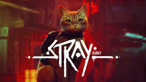 Stray A 1