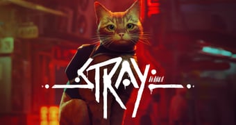 Stray A 1