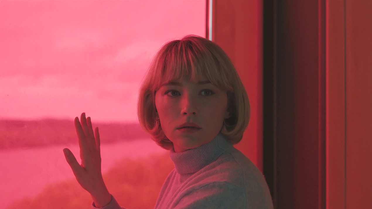 Swallow 2019 cropped processed by imagy