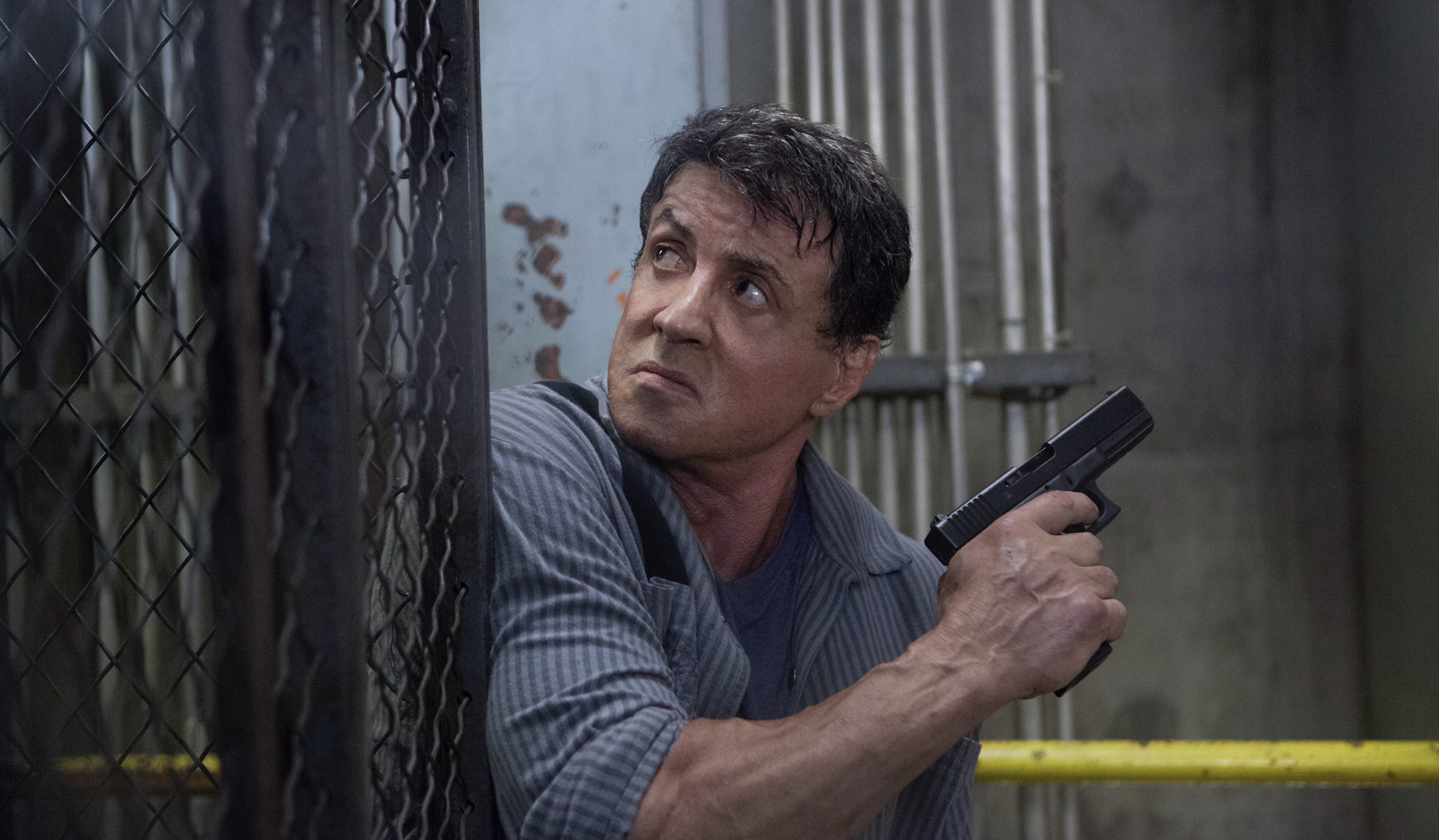 Sylvester Stallone