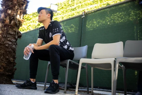 TSM Wildturtle disappointed