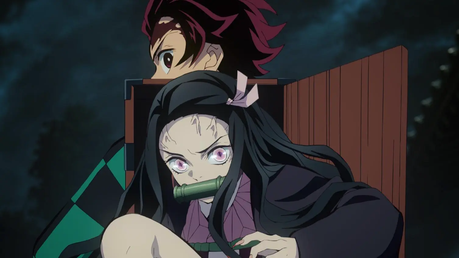 Tanjiro and Nezuko Kamado