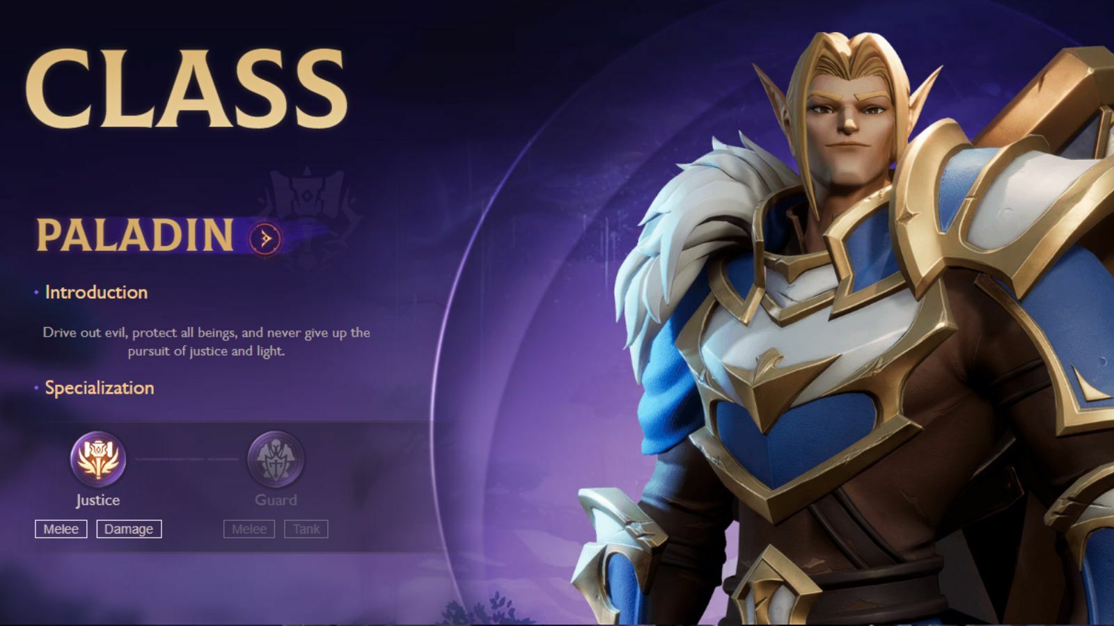 Tarisland Paladin