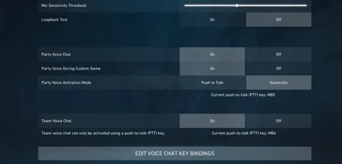 Team Voice Chat Disable1