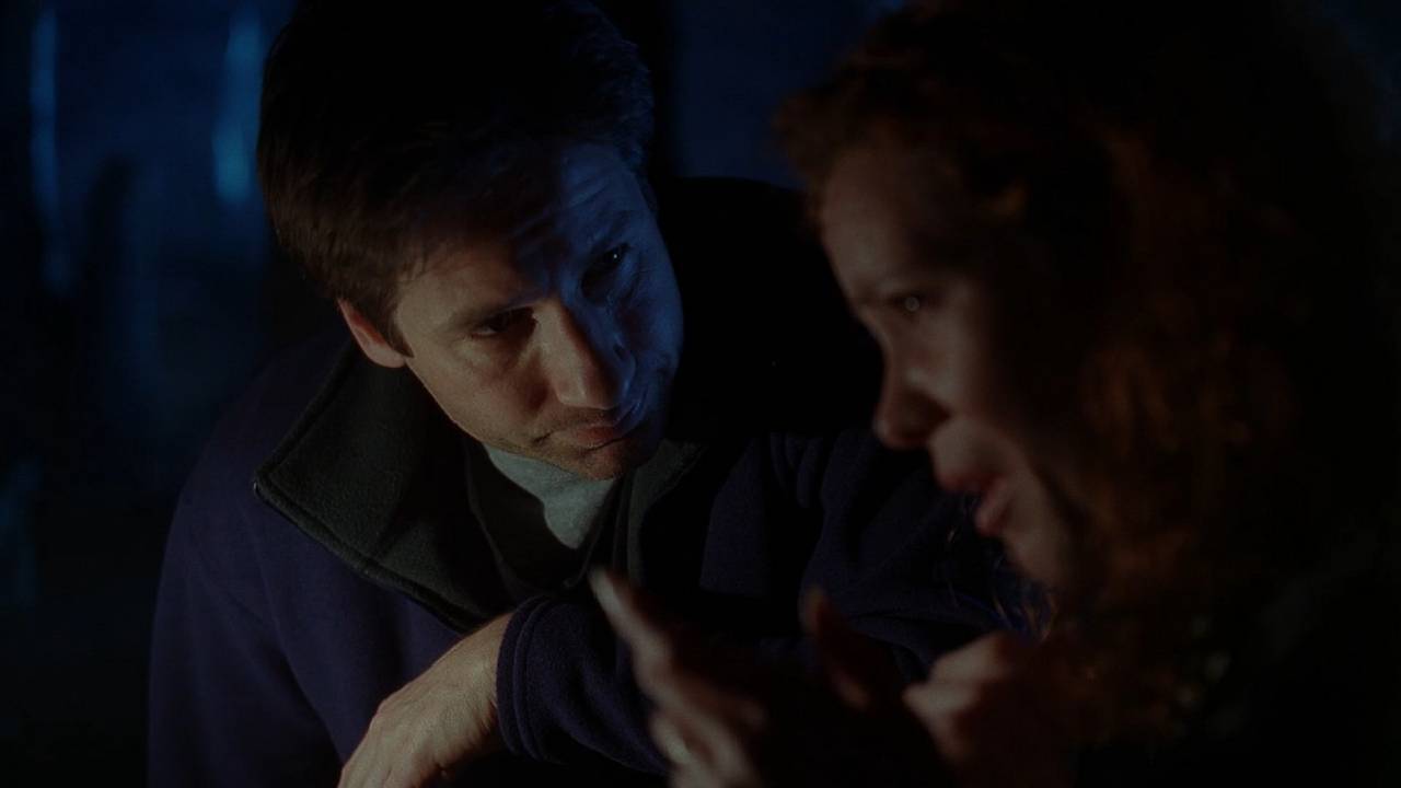 Teso Dos Bichos from The X Files MSN
