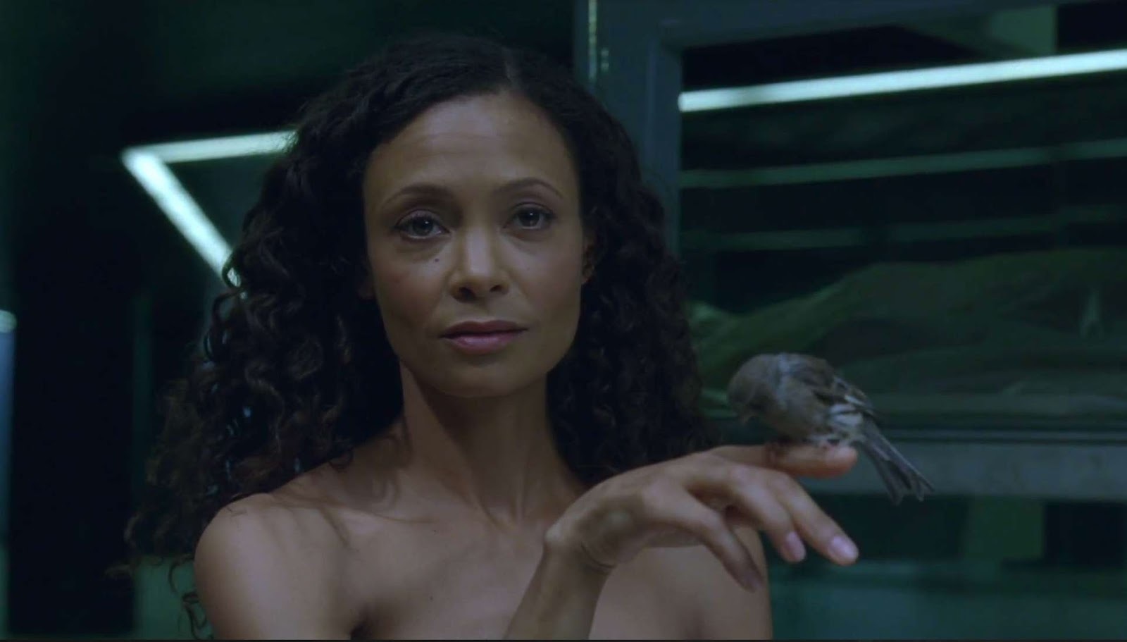 Thandie Newton