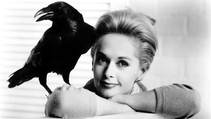 The Birds